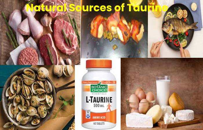 taurine anxiety benefits