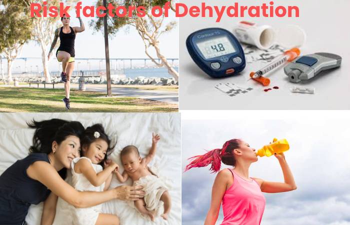 obesity creates a greater risk for dehydration in people because: