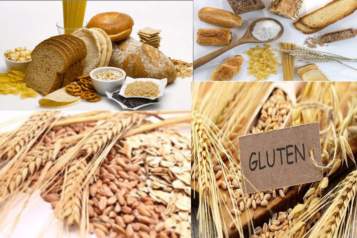 What is Gluten? – Definition, Composition, Uses, Diagnoses, and More