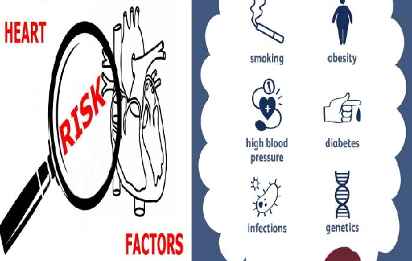 Risk Factors of Heart Disease