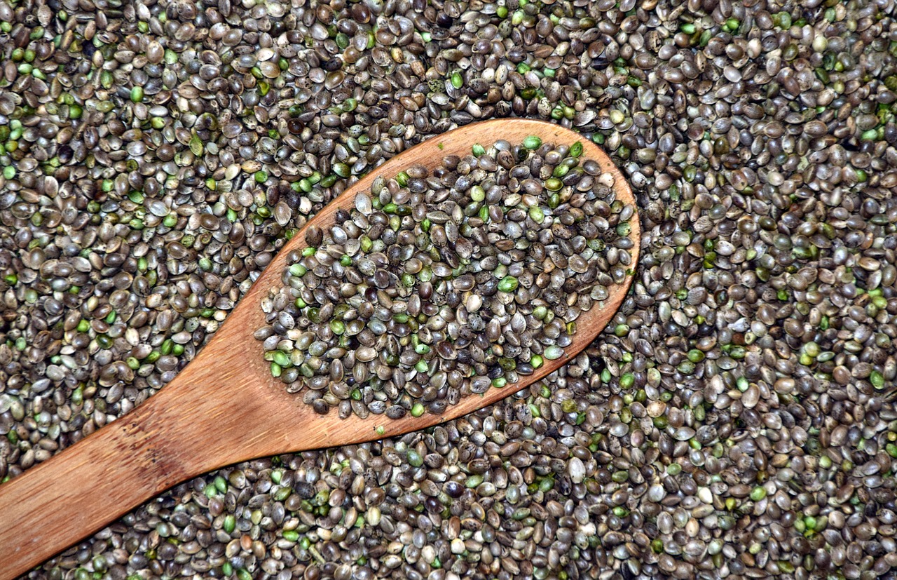 Cannabis Seeds 