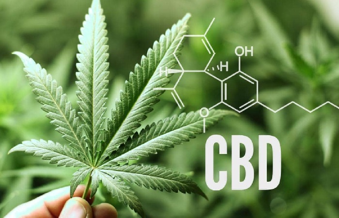 CBD Write for Us
