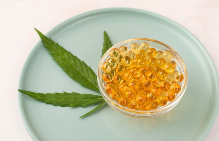 How Various CBD Products Can Offer Complete Wellness_
